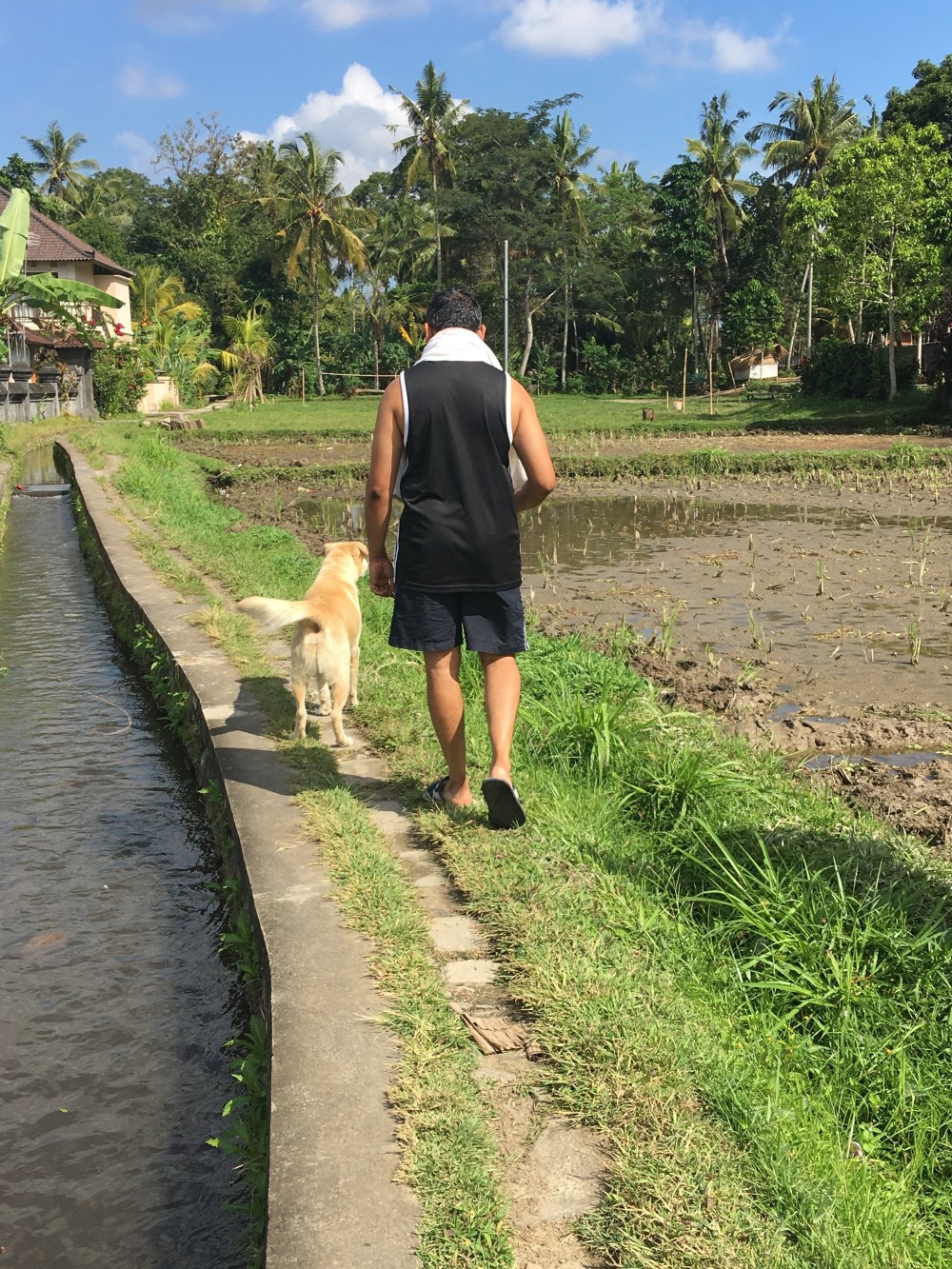 Protective Mimpi.jpeg