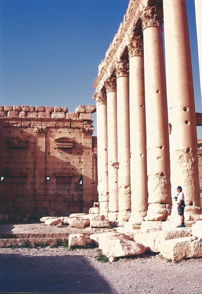 Palmyra3