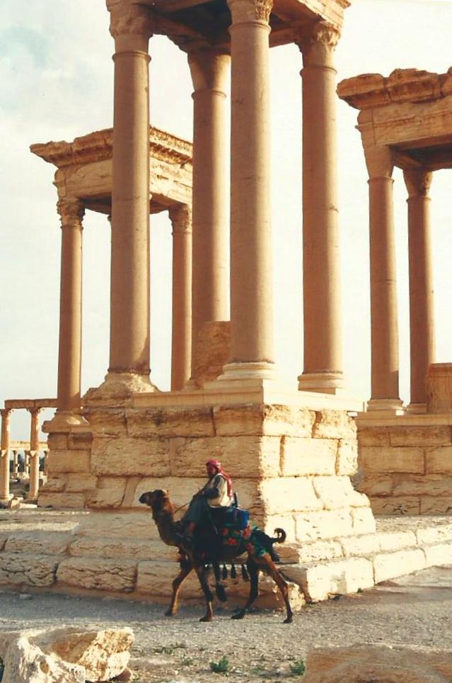 Palmyra4