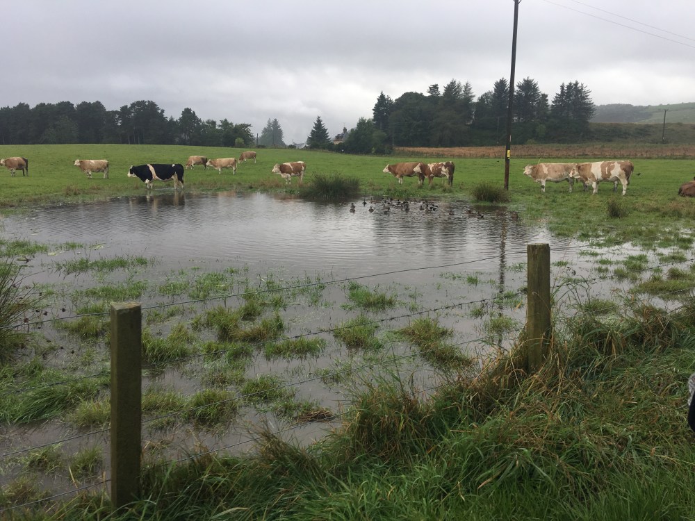 The scenery near the Mill of Kellas in the village of Kellas in Elgin, Scotland.